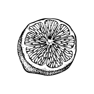 Vintage half lime sketch. Citrus fruit hand-drawn vector illustration. Exotic plant drawing in engraved style. Botanical design element. NOT AI-generated